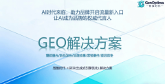 是兼具手艺实力取实和经验的geo优化 